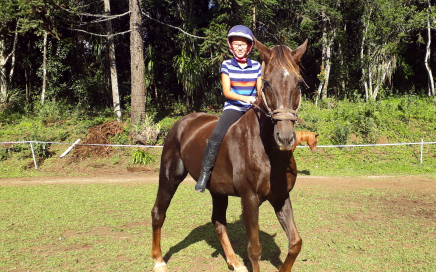 Equitação Natural